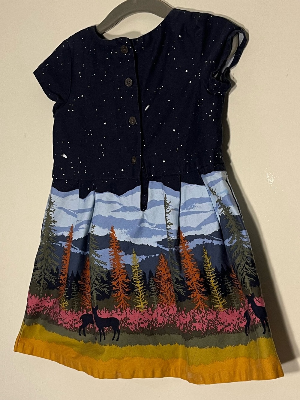 Osh Kosh | Whimsy Scenic Forest Wilderness Landscape Art Print Flair Dress 2T